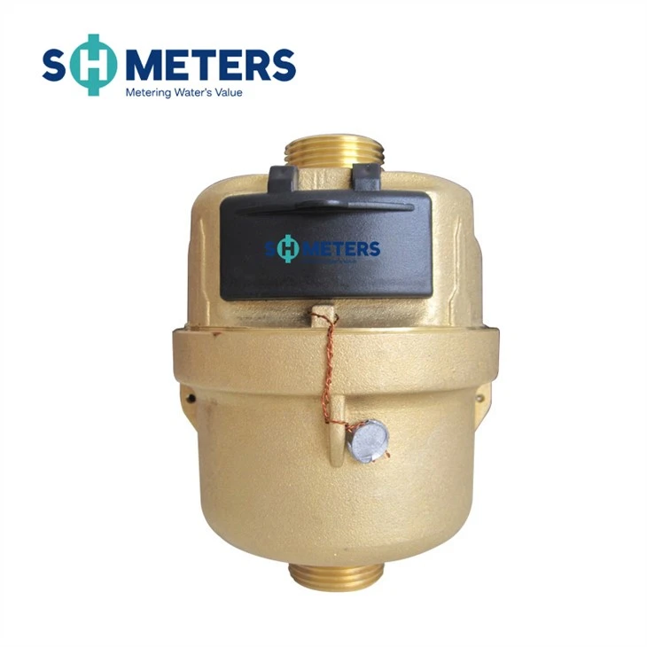DN15-25 Rotary Piston Volume Water Meter