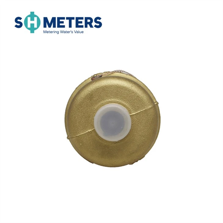 DN15-25 Rotary Piston Volume Water Meter