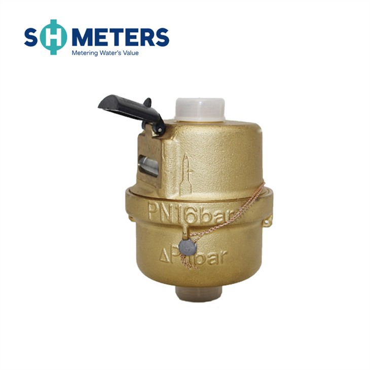 R200 Kent Volumetric Rotary Piston Water Meters Dn15 DN15~DN25 Household Dry Dial Plastic,brass
